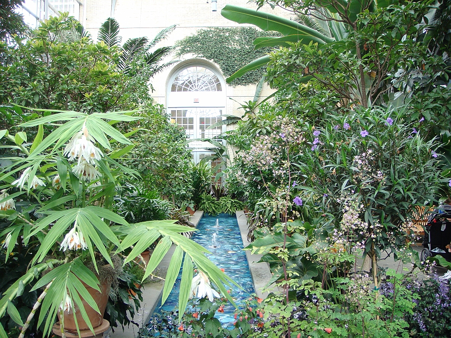 Washington DC [2009 July 04] 078.JPG - Scenes from The United States Botanic Garden